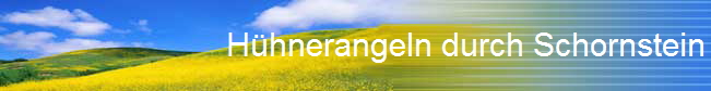 H�hnerangeln durch Schornstein
