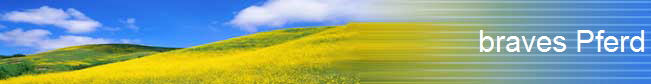 braves Pferd