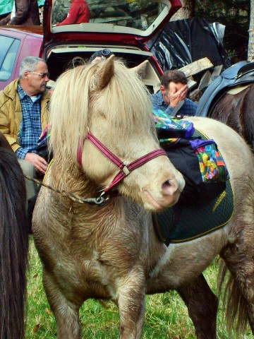 Gespensterschnapstankstelle