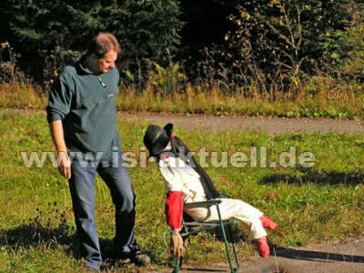 hier mu� er hin