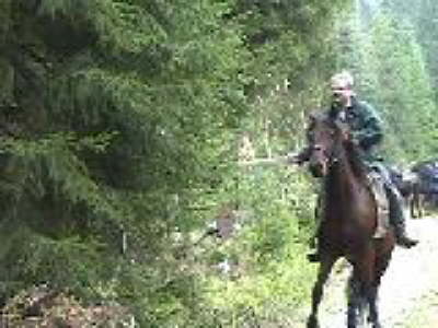 Kampf mit den Drachen(kindern)