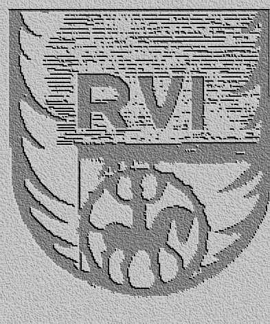 rvi2